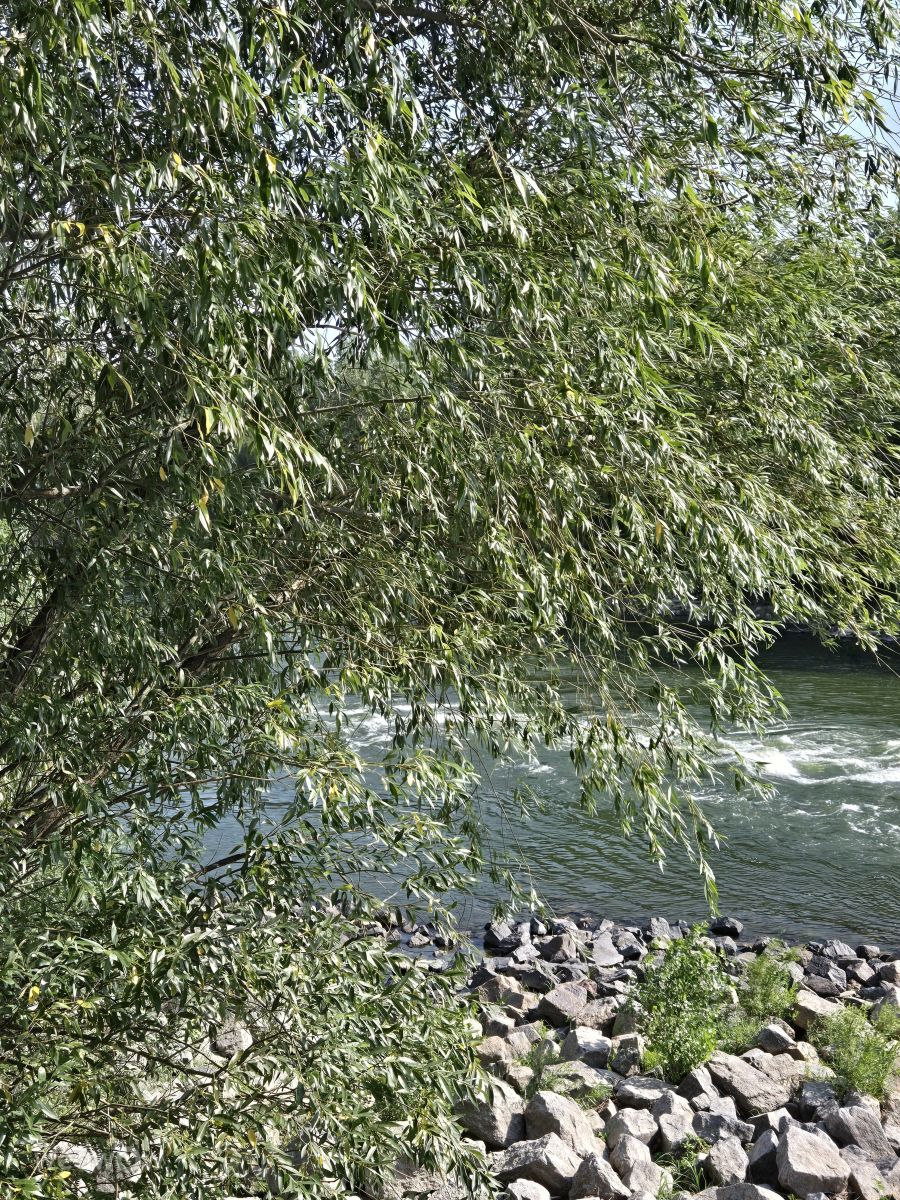 Hình ảnh Thời tiết ở Moldova. Dự báo thời tiết với những bức ảnh đẹp của MariaLemann