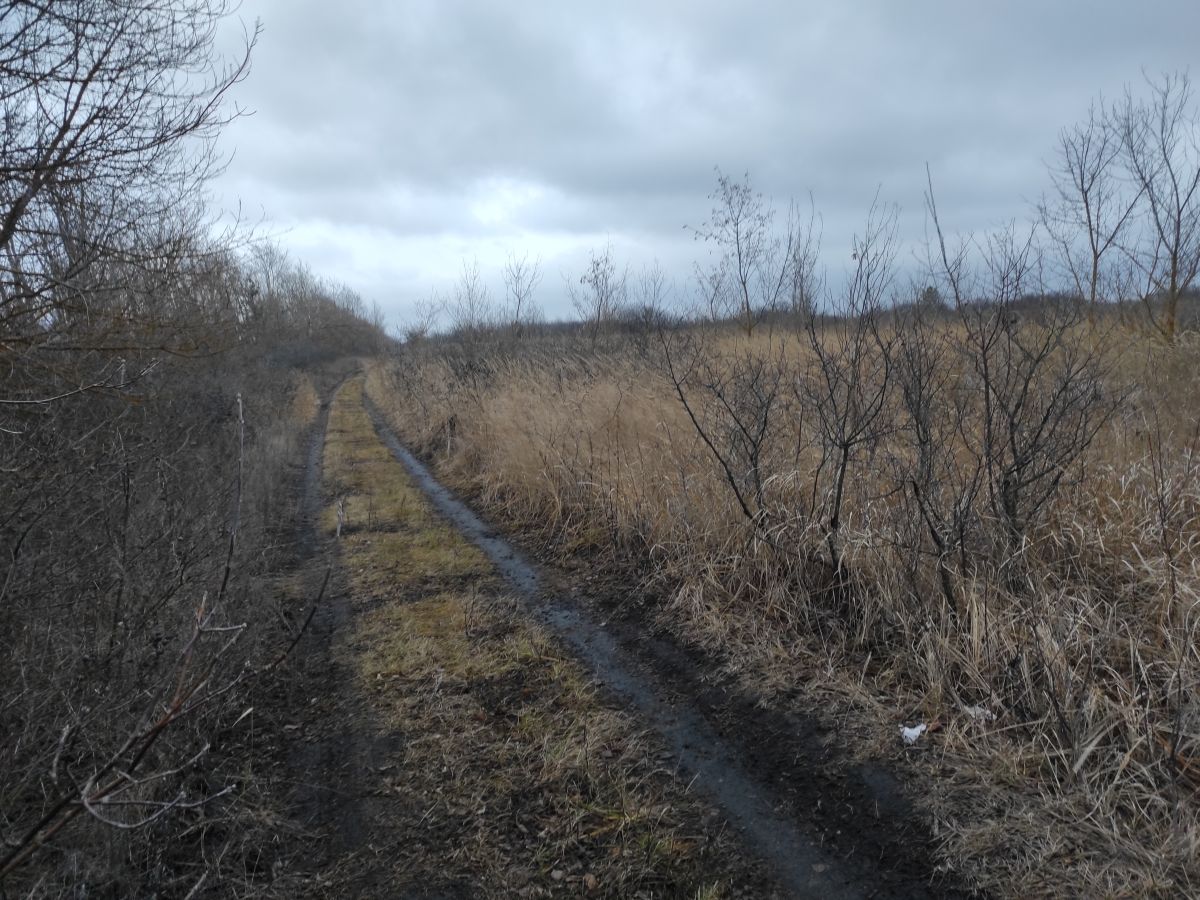 Wetter Photos Mordwinien. Wettervorhersagen mit schönen Fotos von Вильдим