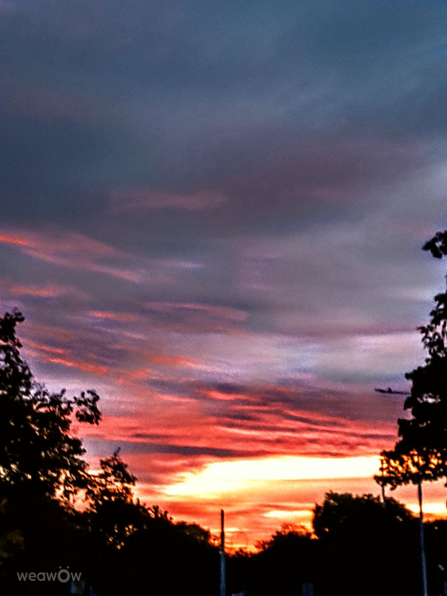 Weather Photos in Gdansk. Weather forecasts with beautiful photos by Wiesiek