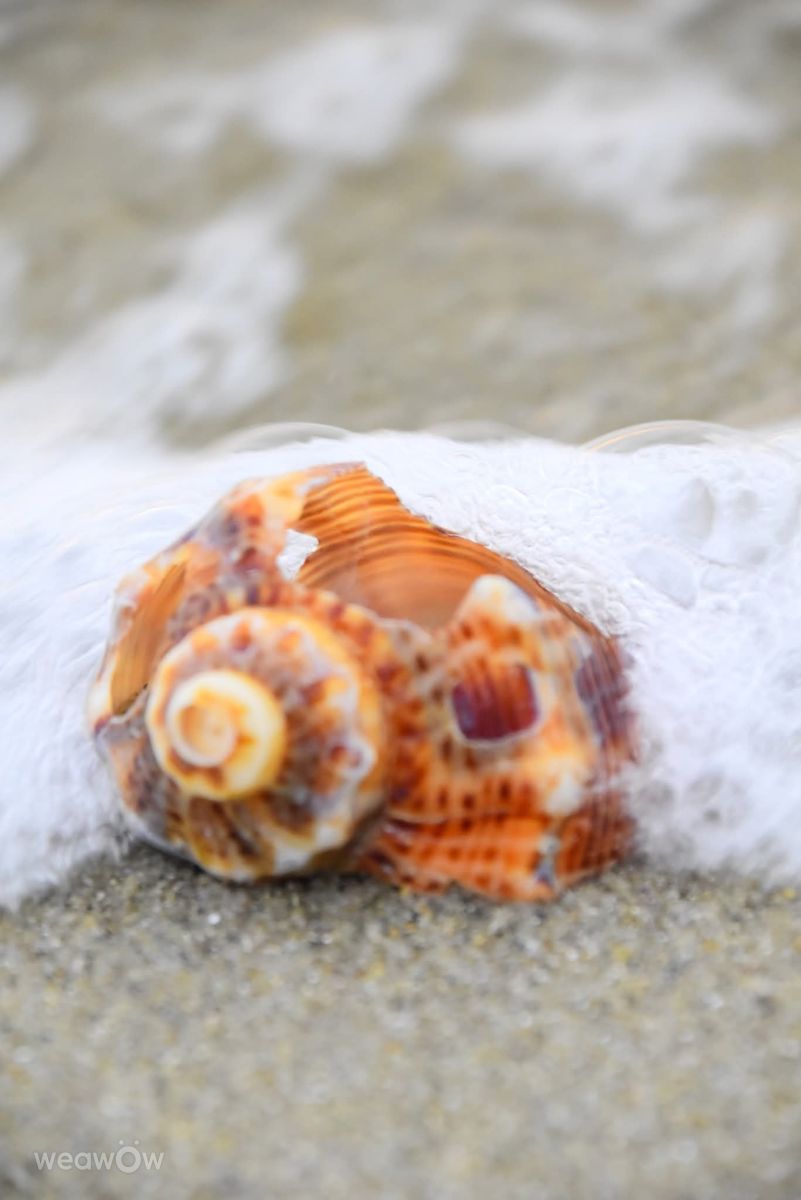 Photographer Малина Павлова, Weather Photos in Burgas - Weawow