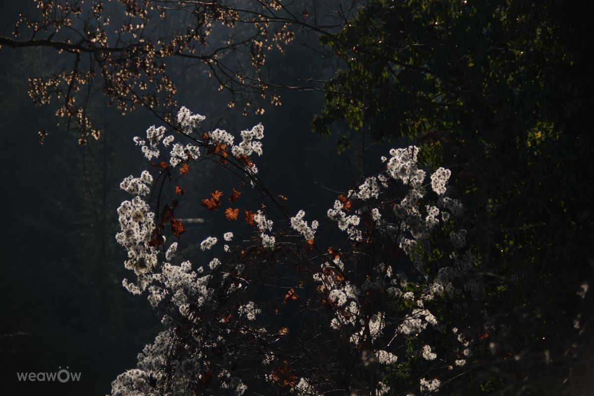 Fotos do tempo em Praha 5. Previsões do tempo com lindas fotos de Vasek325