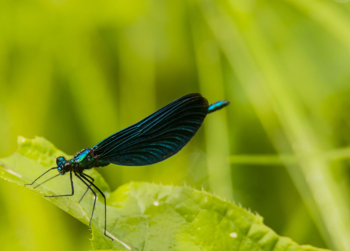 Фотограф Nymph542, Фотографии Погоды в Белорецк - Weawow
