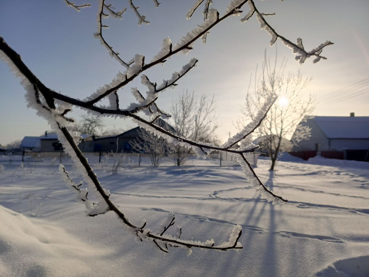 Weather forecasts with beautiful photos by Inna_Schwartz
