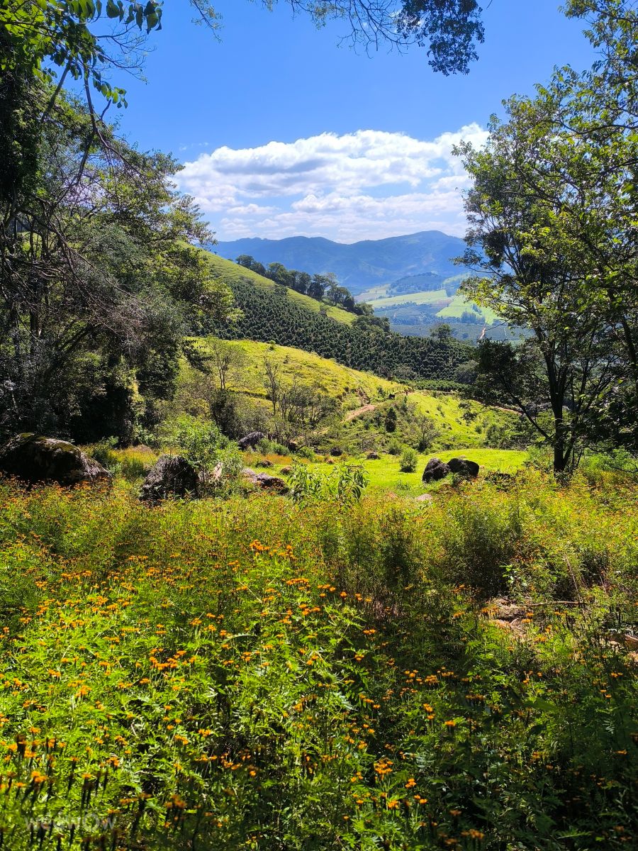 Fotos sobre el clima en Minas Gerais. Pronósticos del tiempo con hermosas fotos de Tárcila Miranda