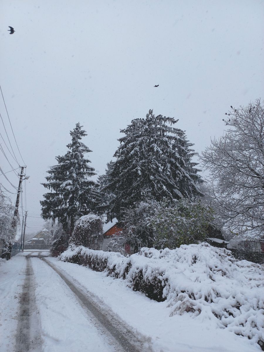 Фотографии Погоды в Фастов. Прогнозы погоды с чудесными фотографиями, сделанными teplota