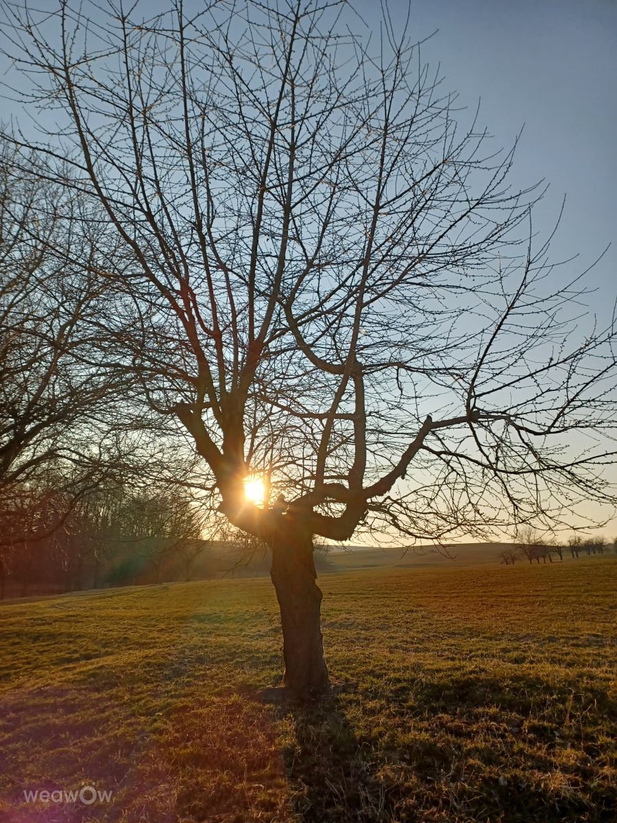 Fotos do tempo em Freiberga. Previsões do tempo com lindas fotos de Kastramania