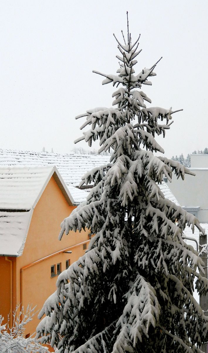 Previsões do tempo com lindas fotos de ConstantinR