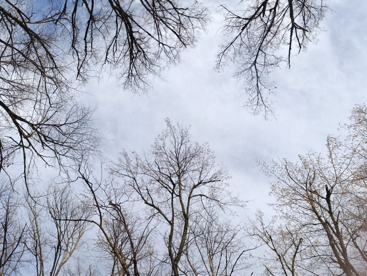 Fotos sobre el clima en Luhansk. Pronósticos del tiempo con hermosas fotos de Анж