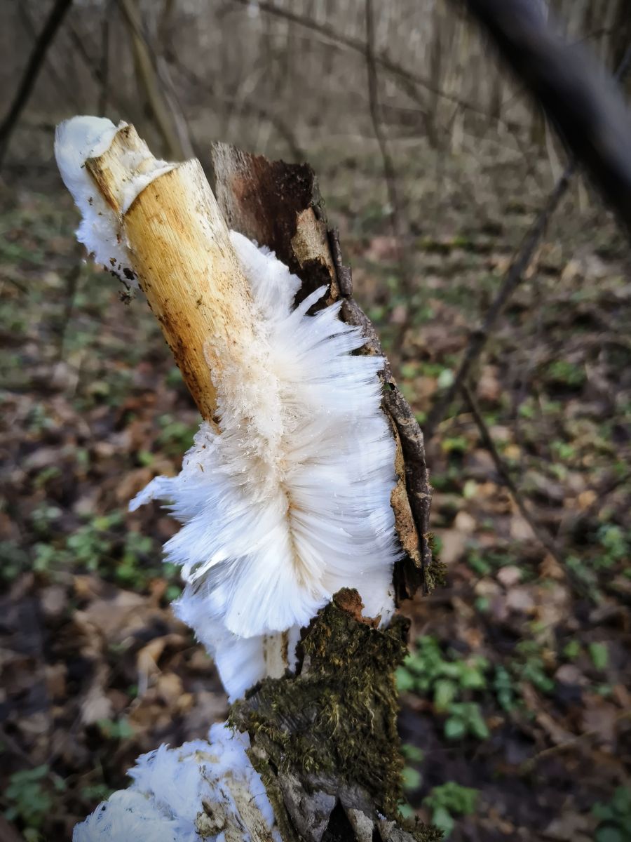 摄影师 Aleksei，Yasnaya Polyana的天气照片 - Weawow