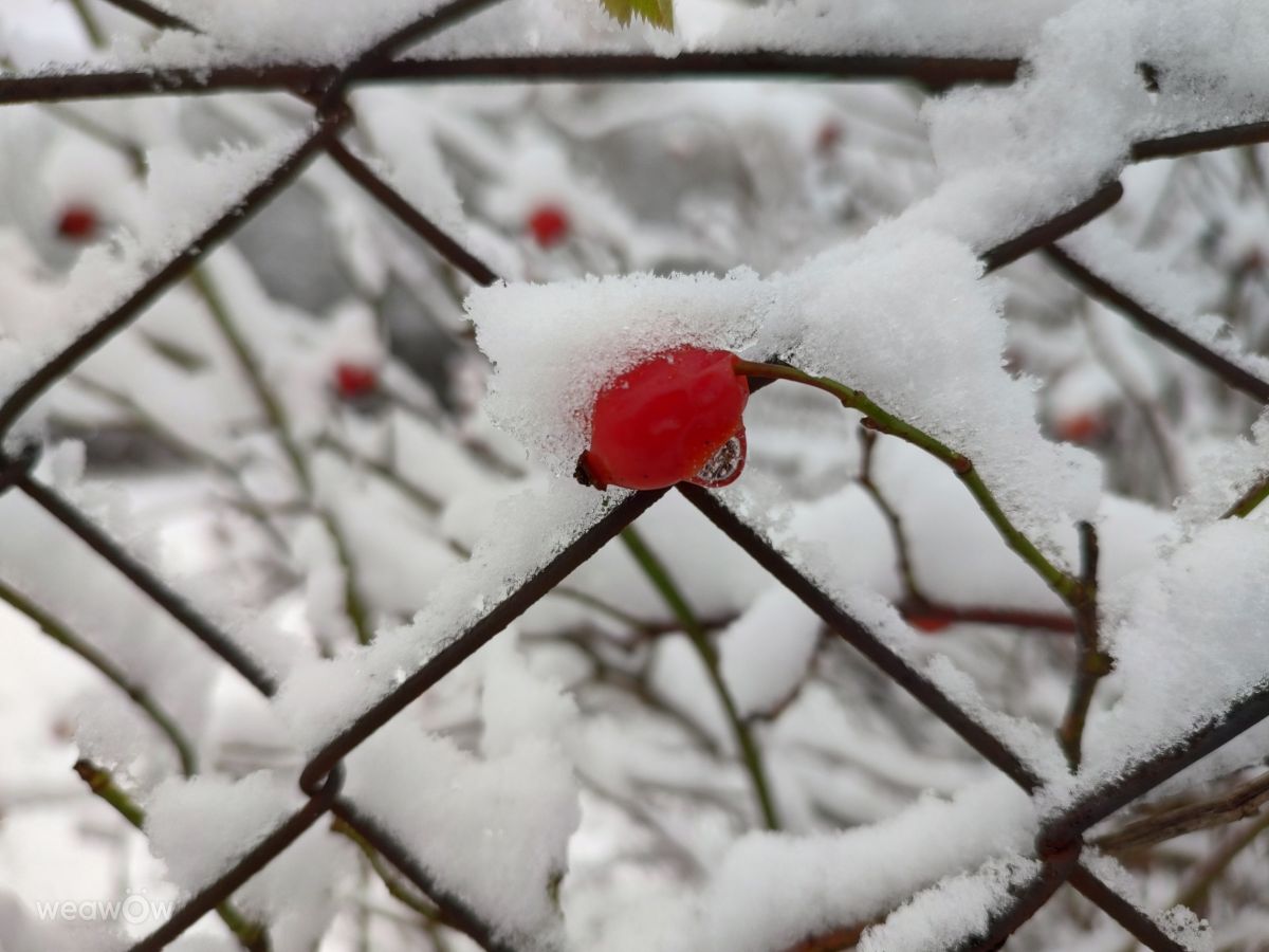 Fotografos drollted, Fotos do tempo em Česká Třebová - Weawow
