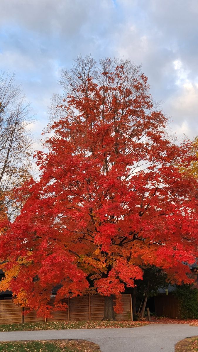 Gow Parkの天気写真. KevinGの美しい写真による天気予報