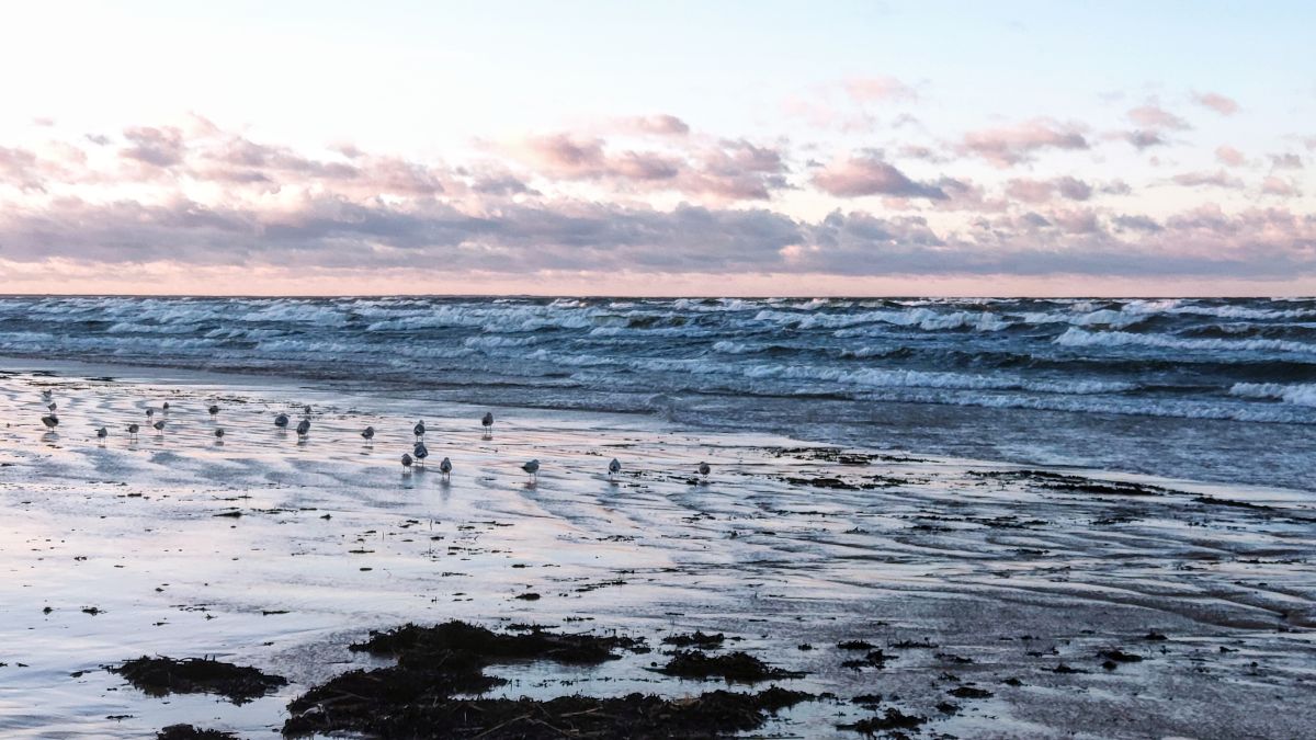 Weather Photos in Jūrmala. Weather forecasts with beautiful photos by newgen