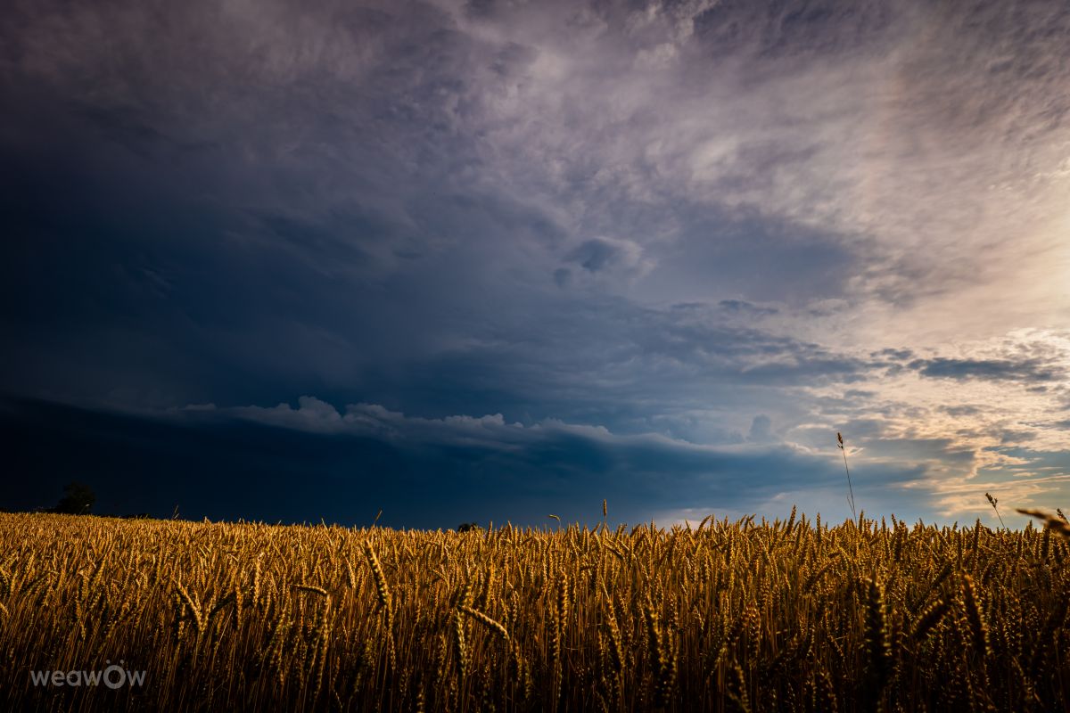 Fotos do tempo em Kranzberg. Previsões do tempo com lindas fotos de Li-Bro