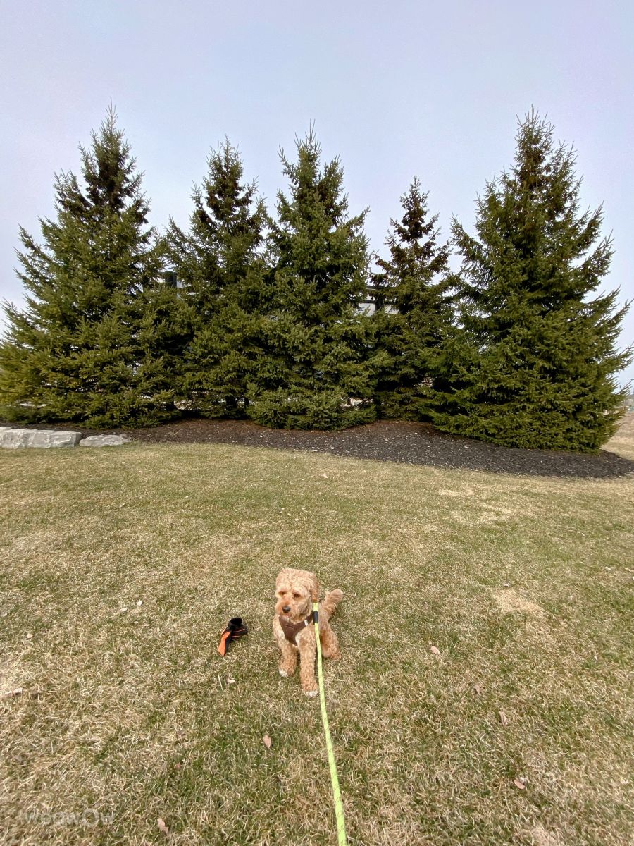 Wetter Photos Outaouais. Wettervorhersagen mit schönen Fotos von Lulu5523