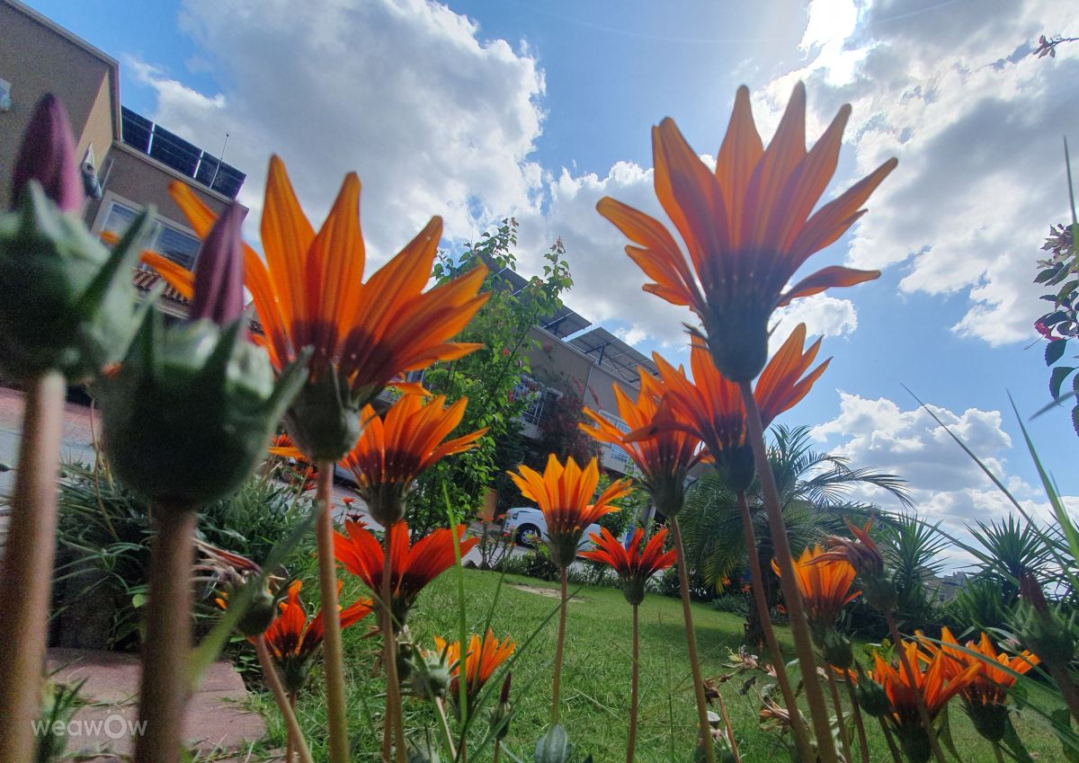 Weather Photos in Islamabad. Weather forecasts with beautiful photos by Ali Usman