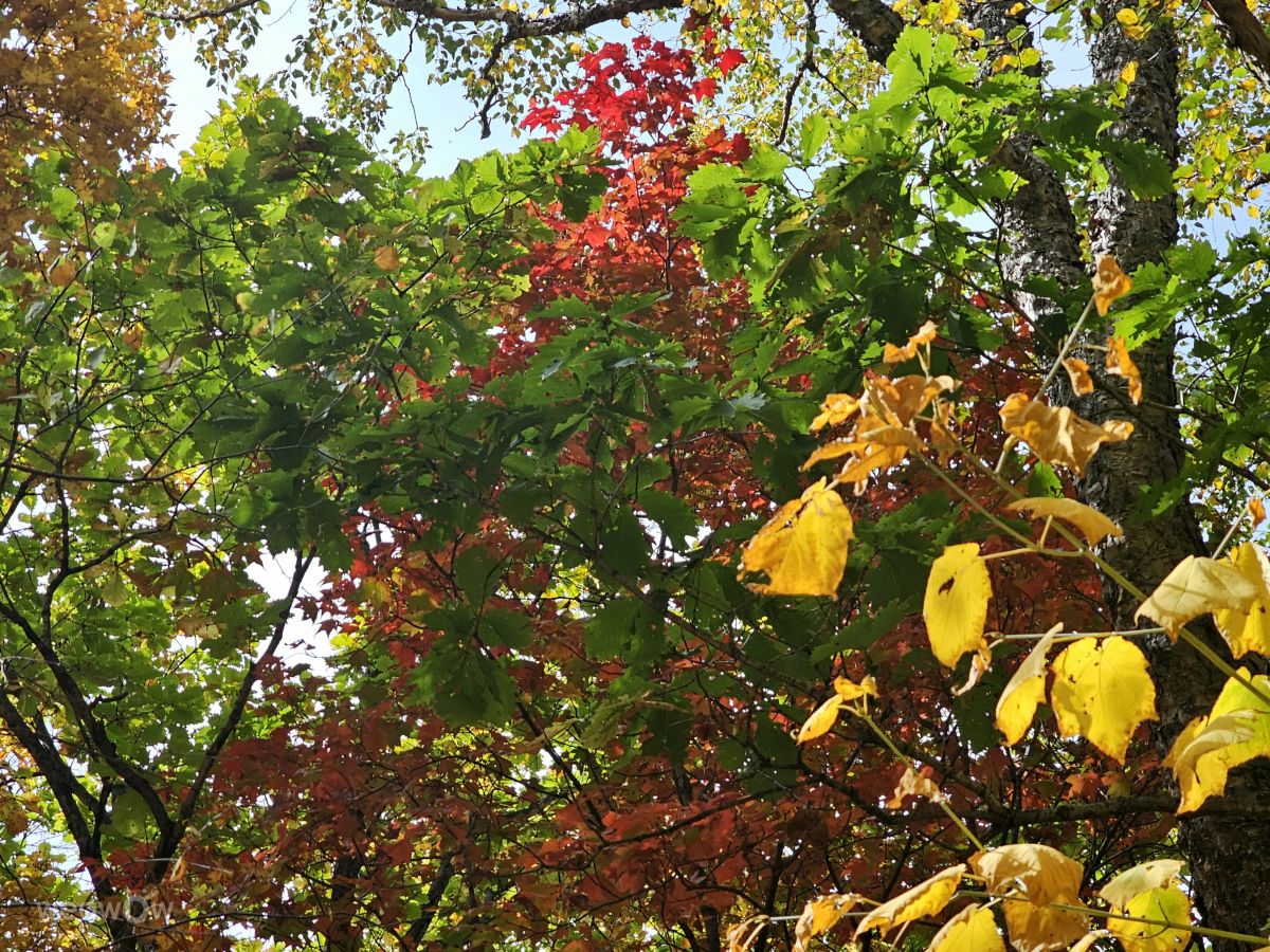 Primorye的天气照片. 天气预报，带ImPe精美的照片