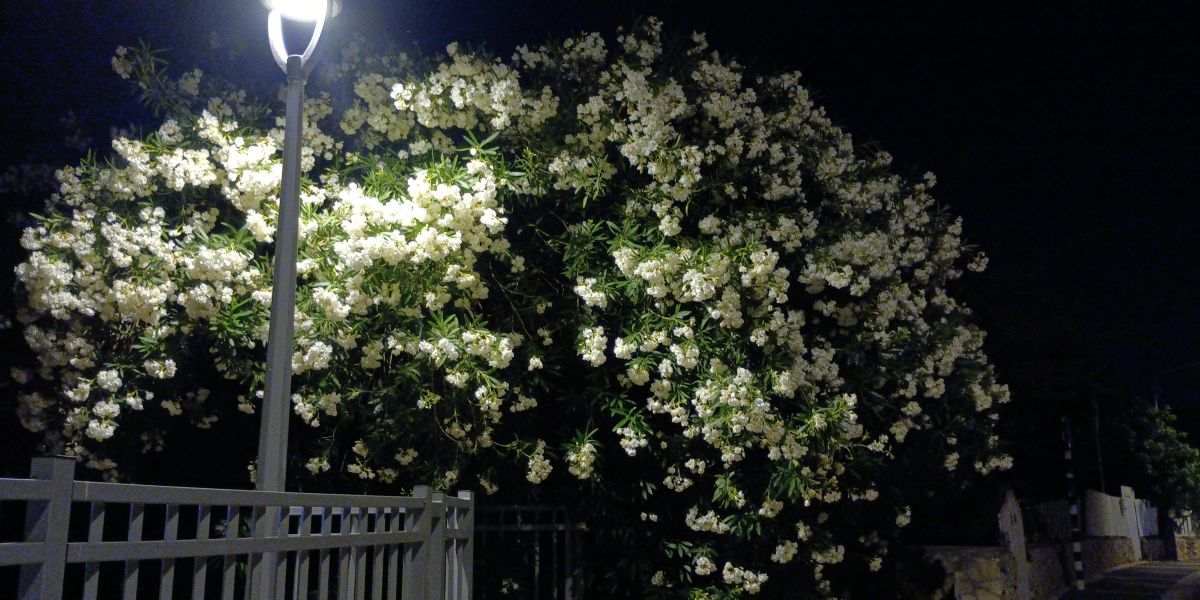 Fotos sobre el clima en Jordania. Pronósticos del tiempo con hermosas fotos de Andrey72