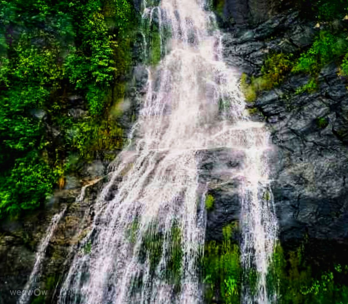 Photos météo à Whitestown. Prévisions météo avec de superbes photos de Traci-McD
