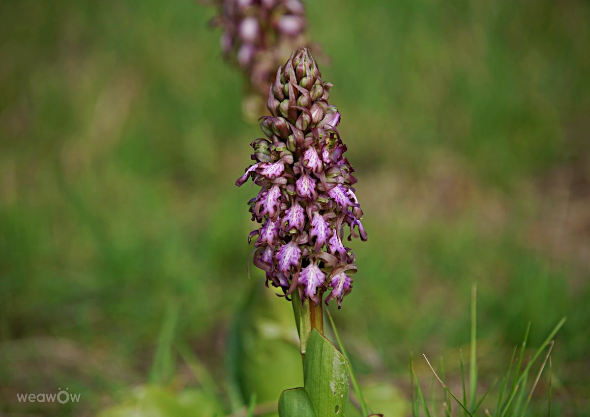 Weather Photos in Calvisson. Weather forecasts with beautiful photos by tony5636