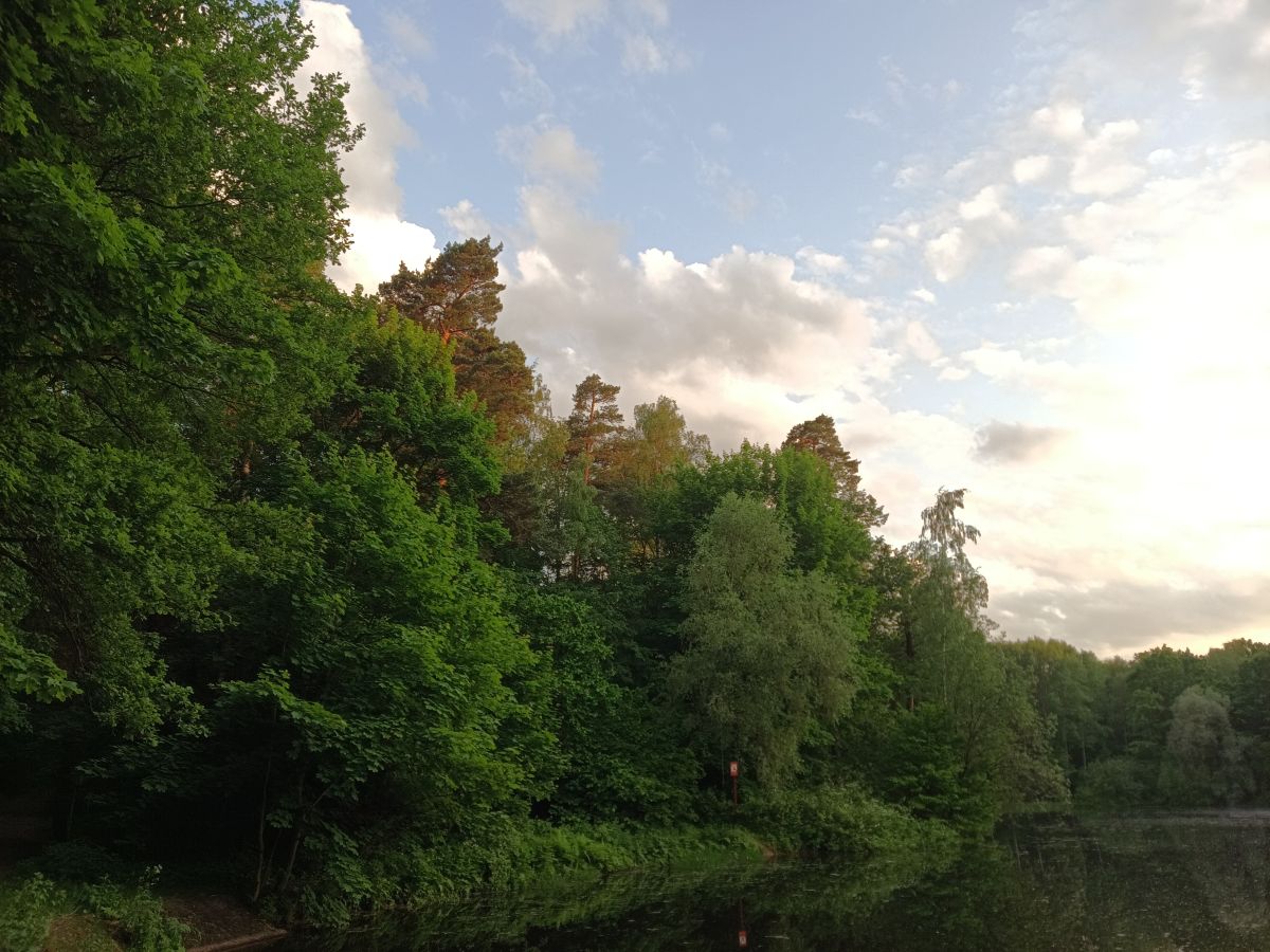 Photographer Amanda_and_Valdemar_Che, Weather Photos in Izmaylovo District - Weawow