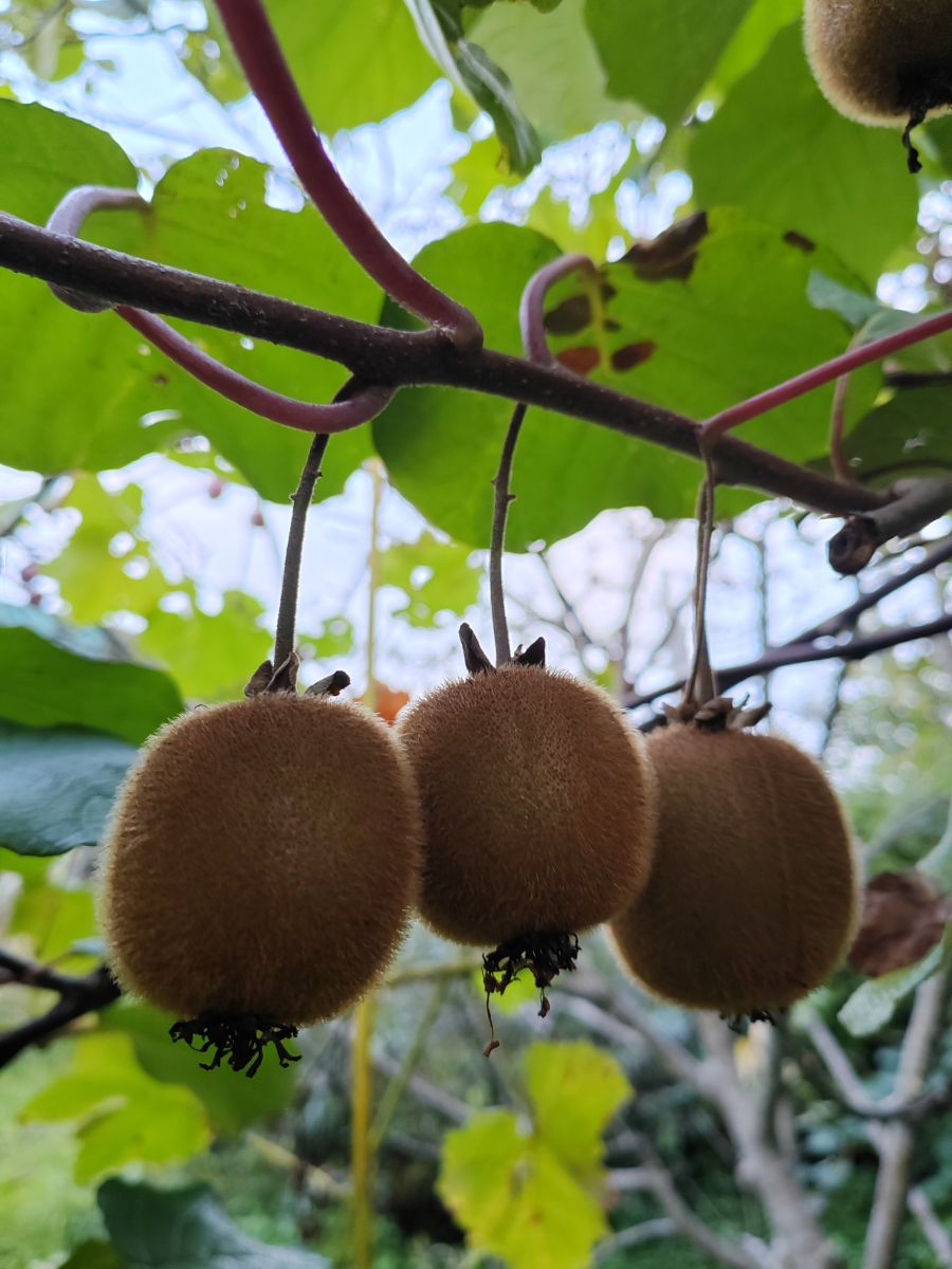 Фотографии Погоды в Сочи. Прогнозы погоды с чудесными фотографиями, сделанными Albert_Smelovtsev