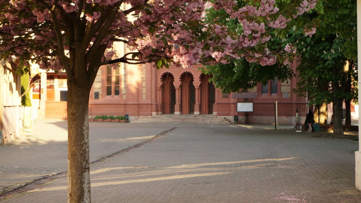 Fotografos kriotis, Fotos do tempo em Uzhhorod - Weawow