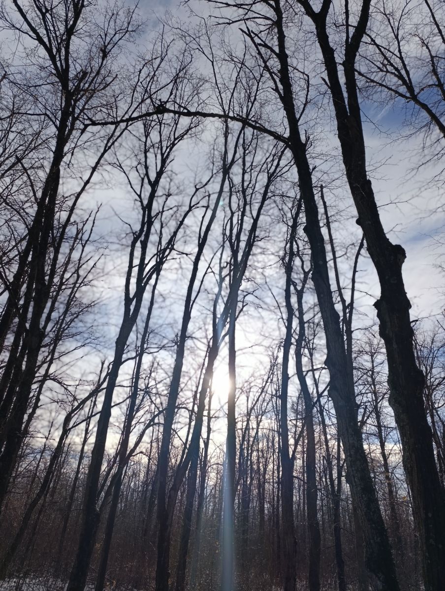 Fotos sobre el clima en Luhansk. Pronósticos del tiempo con hermosas fotos de Анж