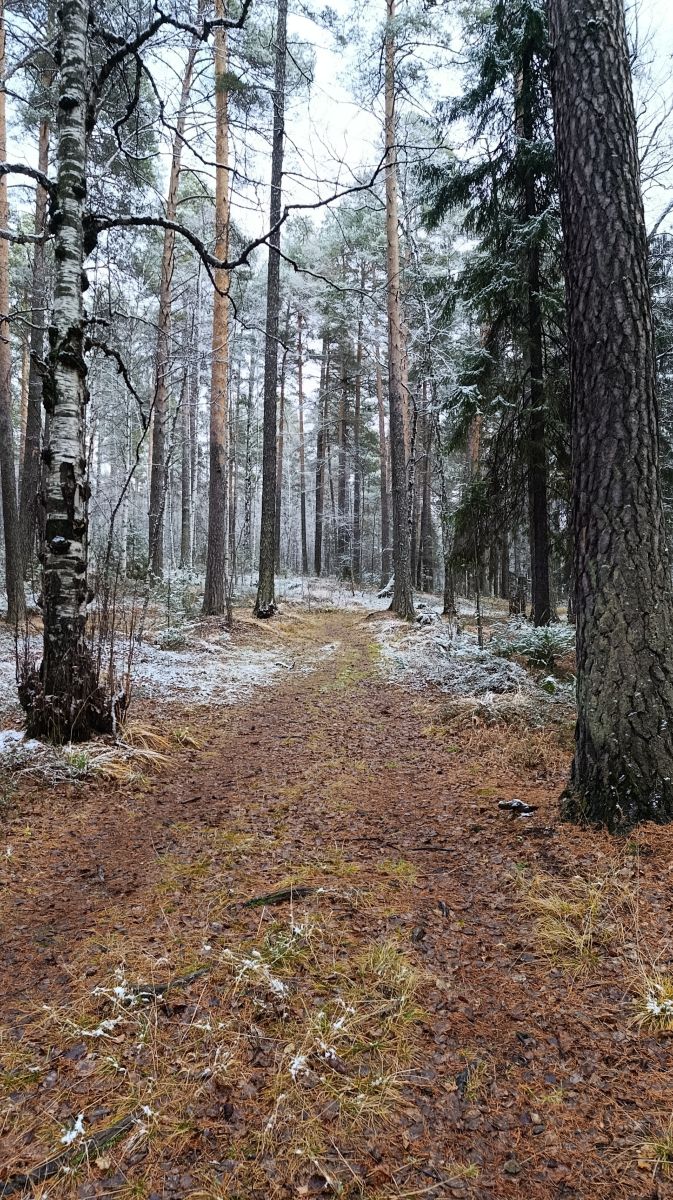 Fotos sobre el clima en Pervouralsk. Pronósticos del tiempo con hermosas fotos de sasha_s