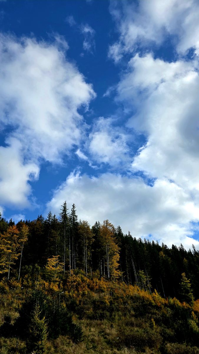 Weather Photos in Oraş Broşteni. Weather forecasts with beautiful photos by Camelyon