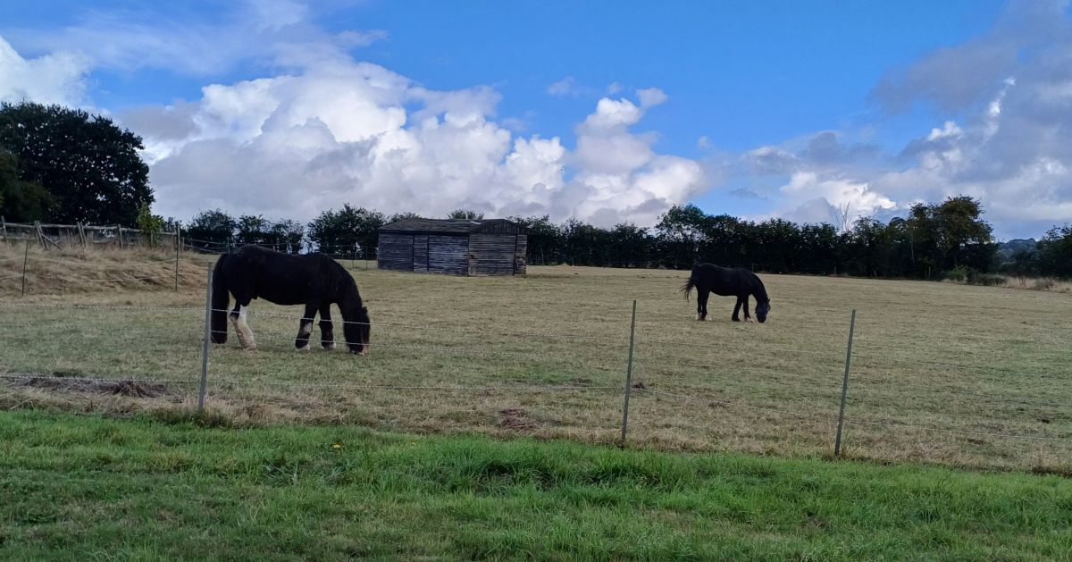 Wateringburyの天気写真. Lolliの美しい写真による天気予報