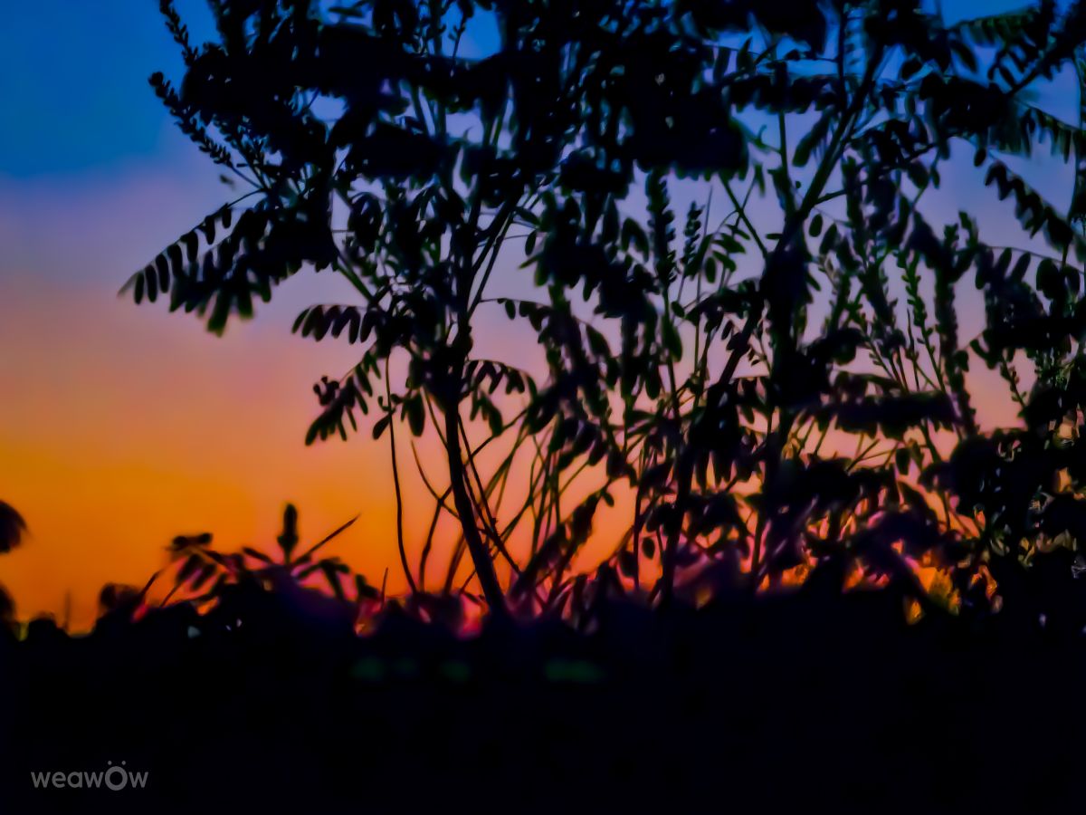 Photos météo à Sereď. Prévisions météo avec de superbes photos de Miloš_SK