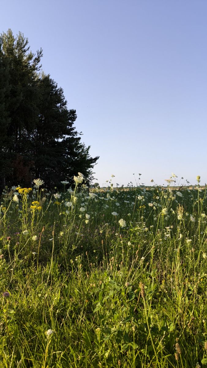 Fotos sobre el clima en Województwo Łódzkie. Pronósticos del tiempo con hermosas fotos de Romek58