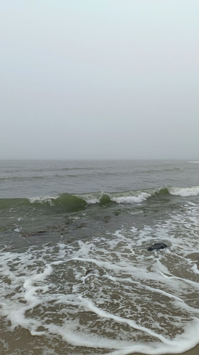 摄影师 Михаил Бондаренко，Gorod Svetlogorsk的天气照片 - Weawow