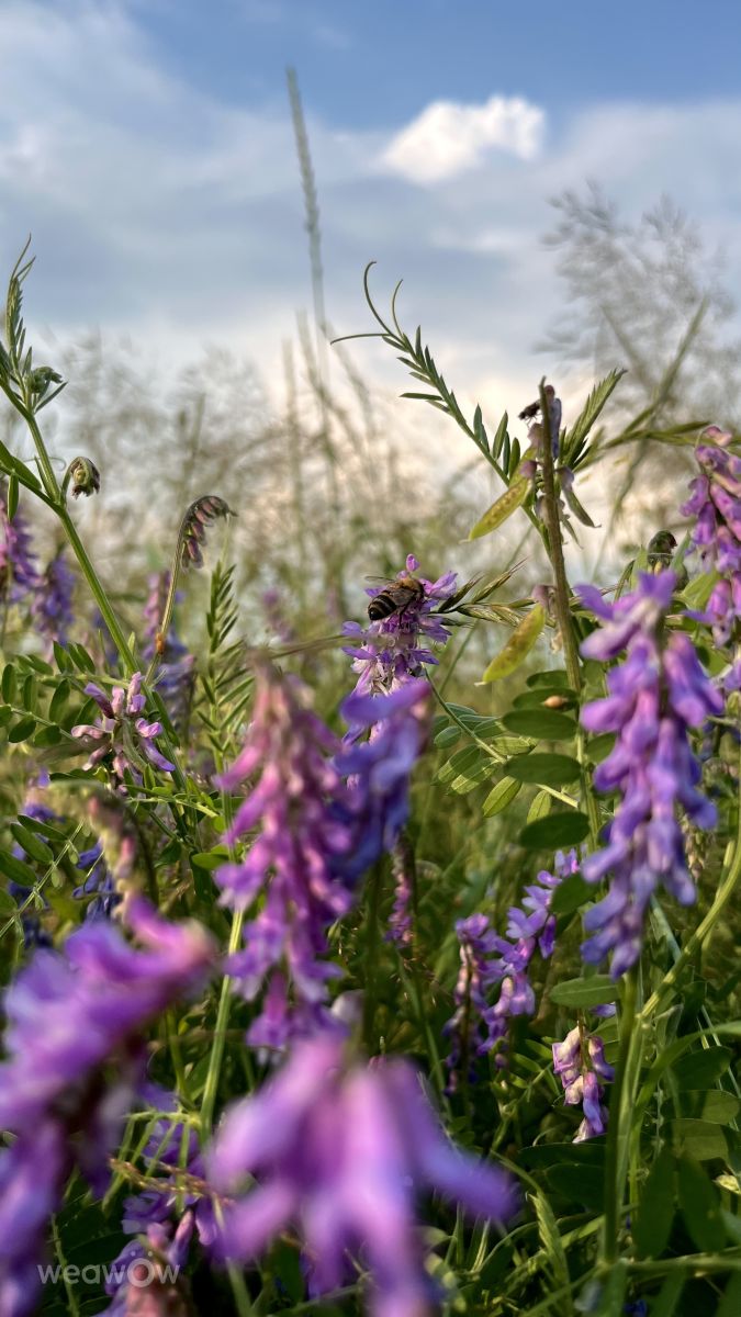 Weather Photos in Minsk. Weather forecasts with beautiful photos by Stassy