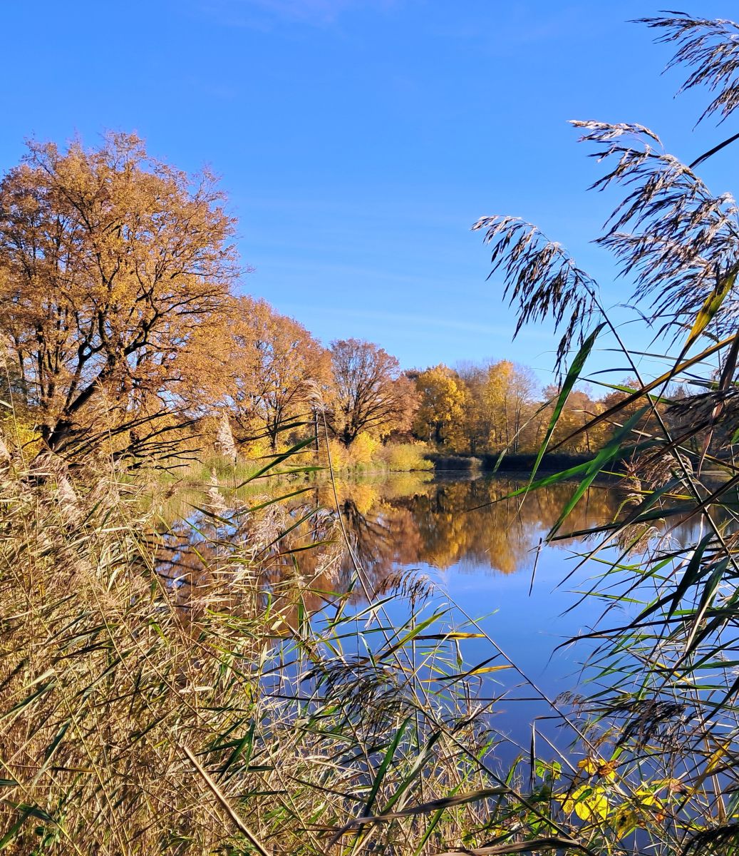 Фотограф fwerner, Фотографии Погоды в Ahlhorner Fischteiche - Weawow