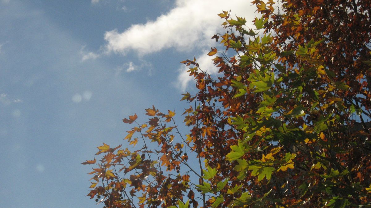 Weather Photos in Odesa. Weather forecasts with beautiful photos by mgmsuut