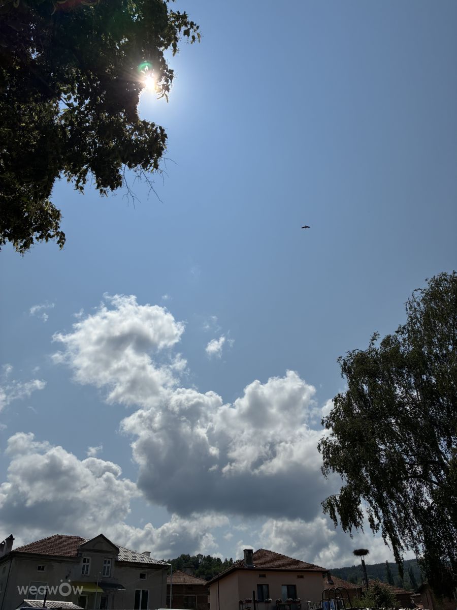 Fotos sobre el clima en Bulgaria. Pronósticos del tiempo con hermosas fotos de cigov