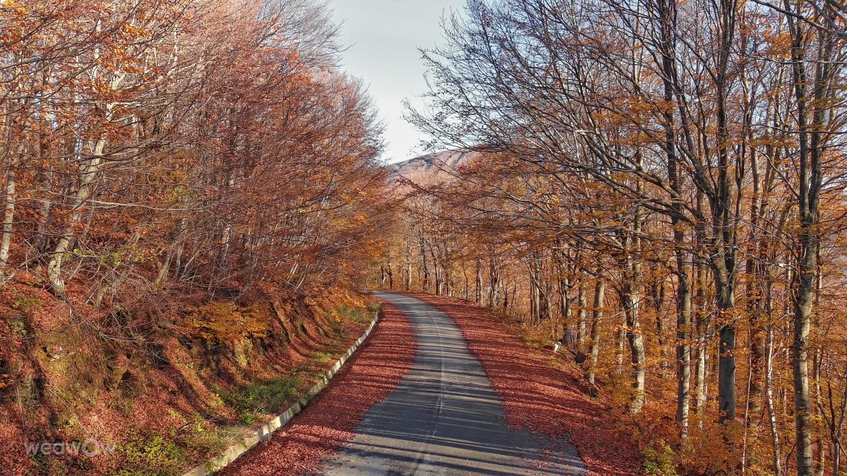 Прогнозы погоды с чудесными фотографиями, сделанными Antony_Bouchagier78