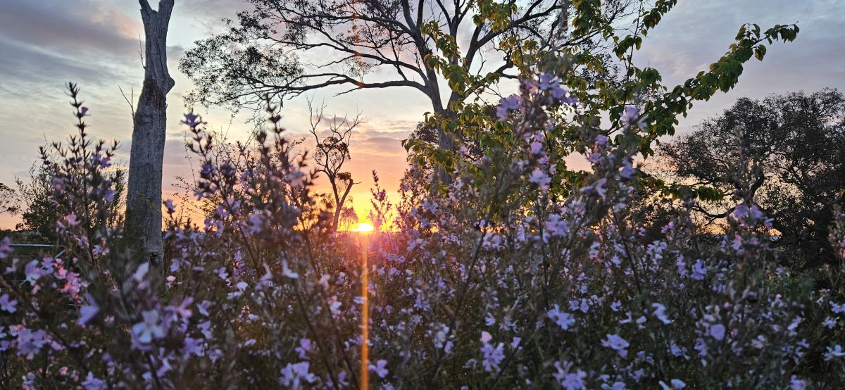 Weather forecasts with beautiful photos by AussieFarm