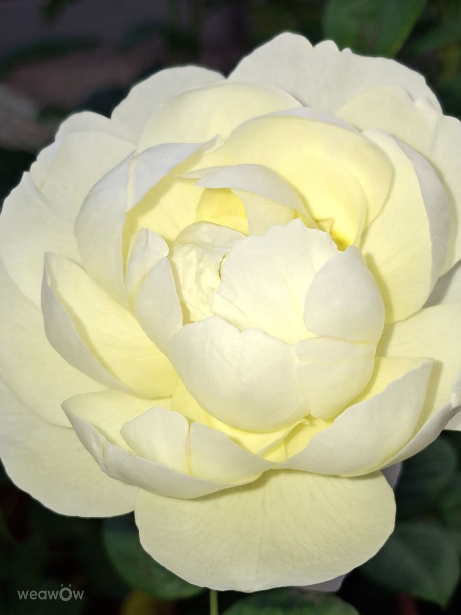 Photos météo à Kaohsiung. Prévisions météo avec de superbes photos de Wen-ya Huang