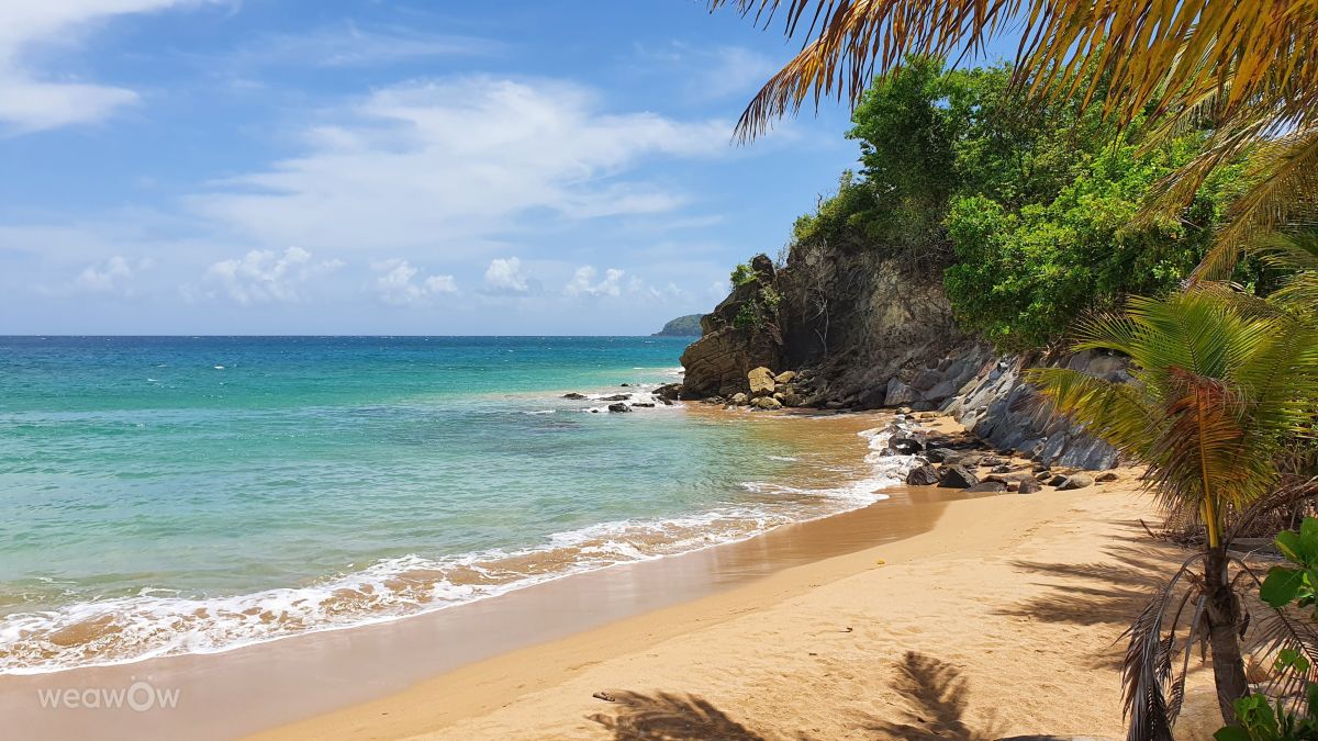 Weather Photos in Guadeloupe. Weather forecasts with beautiful photos by Verestrasz