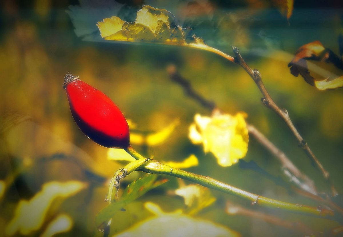 Previsões do tempo com lindas fotos de ConstantinR