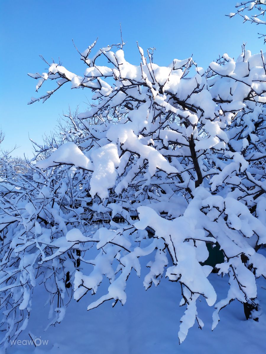 Fotos do tempo em Horlivka. Previsões do tempo com lindas fotos de MaxCreate