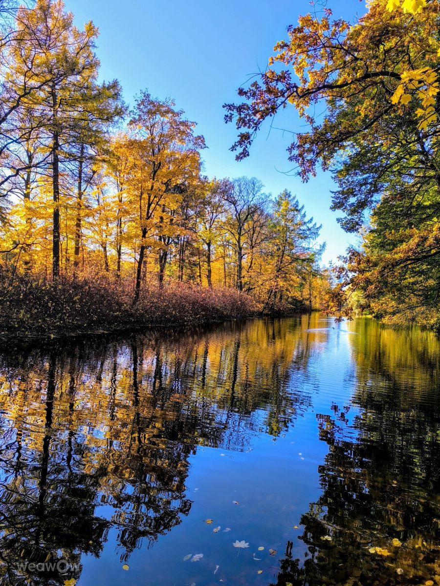 Photographer Jea, Weather Photos in Ostrov Yelagin - Weawow