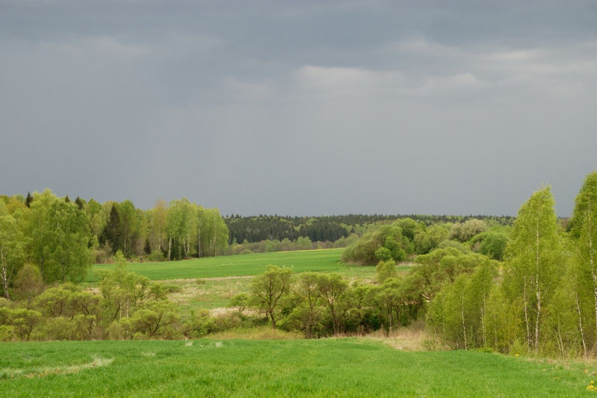 Weather Photos in Kaluga Oblast. Weather forecasts with beautiful photos by MadFox2001
