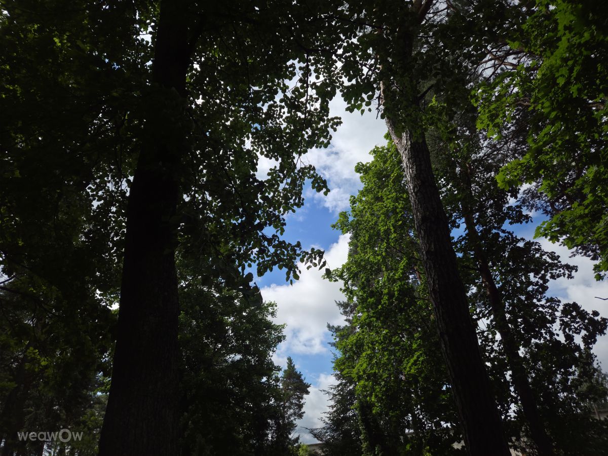 Fotos sobre el clima en Daugavpils. Pronósticos del tiempo con hermosas fotos de Lisjawa