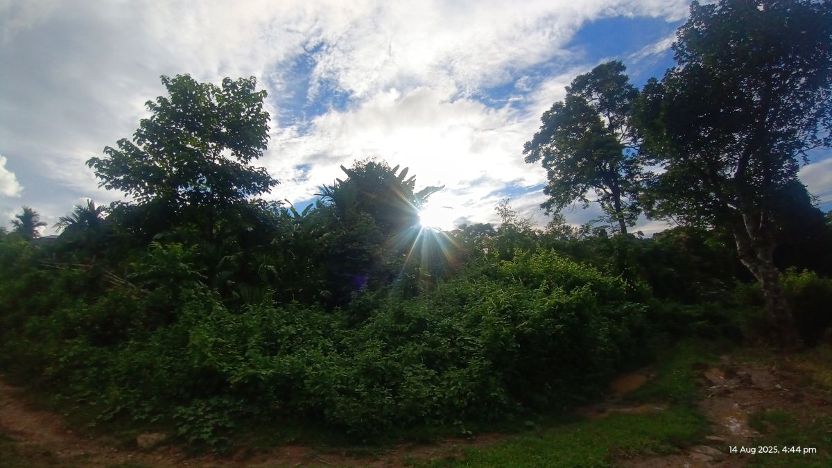 Weather Photos in Assam. Weather forecasts with beautiful photos by Lamkam
