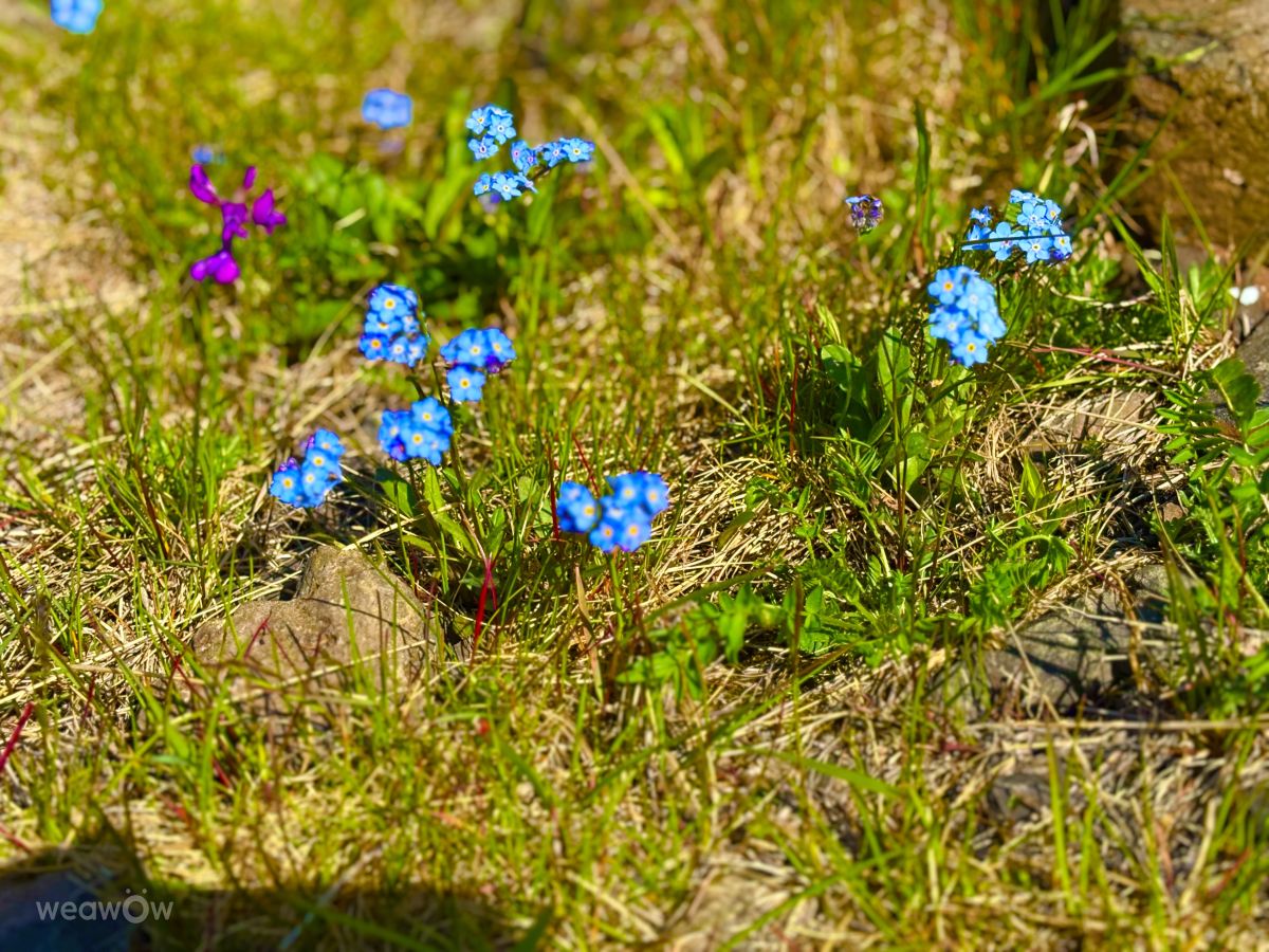 Wetter Photos Jenisseisk. Wettervorhersagen mit schönen Fotos von Ржд