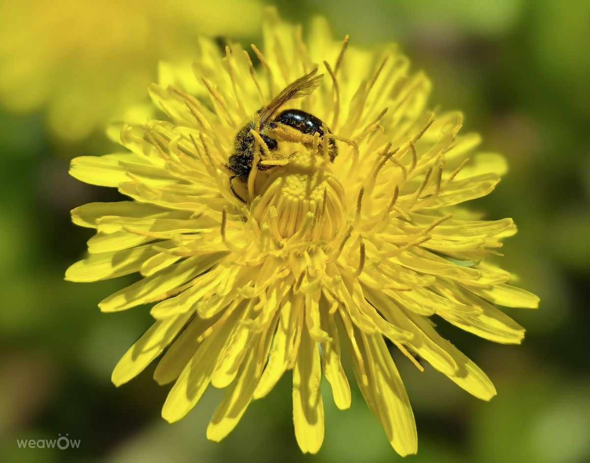 Fotos do tempo em Medvezh'i Ozera. Previsões do tempo com lindas fotos de Eva_Eva