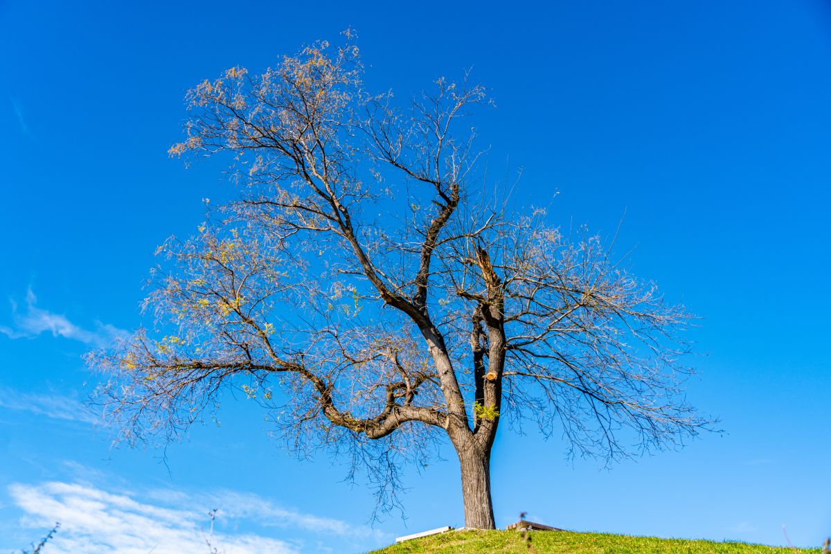 Фотографии Погоды в Пловдив. Прогнозы погоды с чудесными фотографиями, сделанными niki81vd